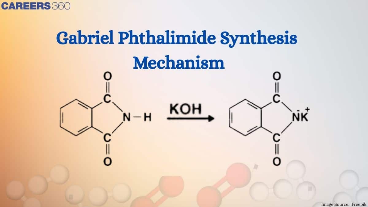 Gabriel Phthalimide Synthesis, Mechanism - Reaction with FAQs